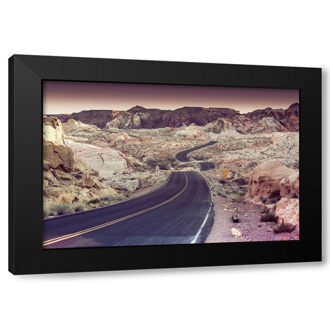 Snake Road Black Modern Wood Framed Art Print by Lichtenwalter, Tom