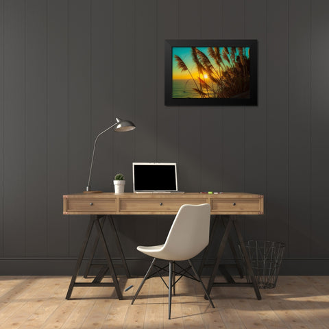 Shining Reed Black Modern Wood Framed Art Print by Lichtenwalter, Tom