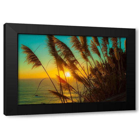 Shining Reed Black Modern Wood Framed Art Print with Double Matting by Lichtenwalter, Tom