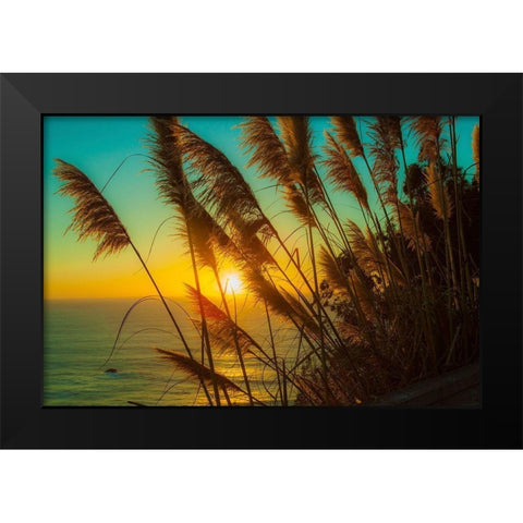 Shining Reed Black Modern Wood Framed Art Print by Lichtenwalter, Tom