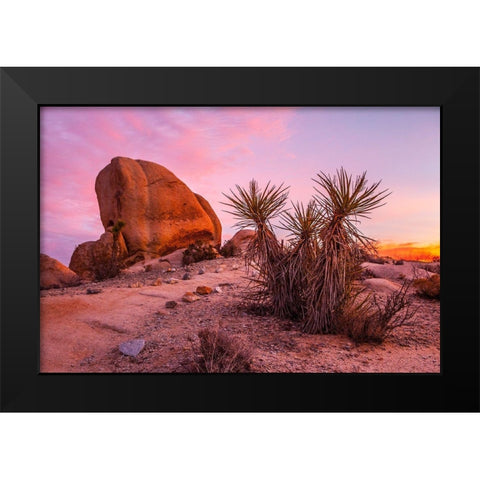 Stoneway Black Modern Wood Framed Art Print by Lichtenwalter, Tom