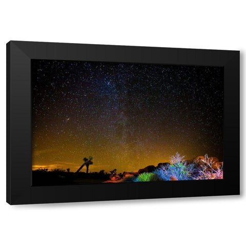 Stars over Joshua Black Modern Wood Framed Art Print by Lichtenwalter, Tom