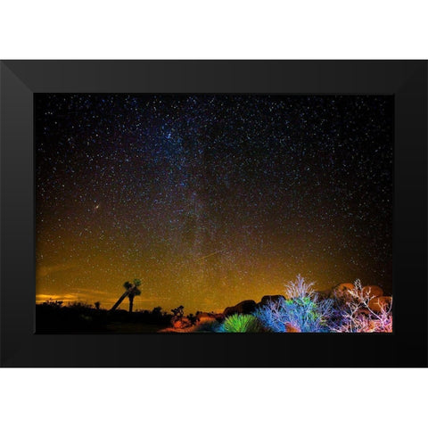 Stars over Joshua Black Modern Wood Framed Art Print by Lichtenwalter, Tom