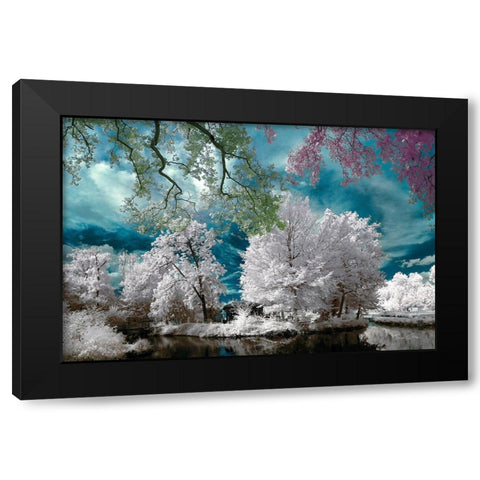 Cayac,Gradignan - Infrared Photography  Black Modern Wood Framed Art Print by Gee, Tonee