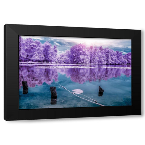Majolan s Park Reflections I-Bordeaux - Infrared and UV photography  Black Modern Wood Framed Art Print by Gee, Tonee