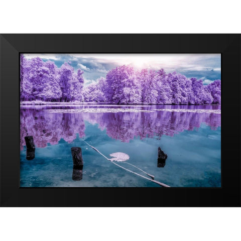 Majolan s Park Reflections I-Bordeaux - Infrared and UV photography  Black Modern Wood Framed Art Print by Gee, Tonee