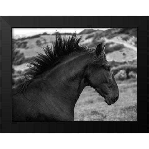 Menorcan Beauty Black Modern Wood Framed Art Print by Llovet, Jorge