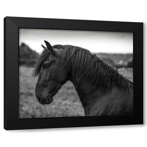 Strong Look Black Modern Wood Framed Art Print by Llovet, Jorge