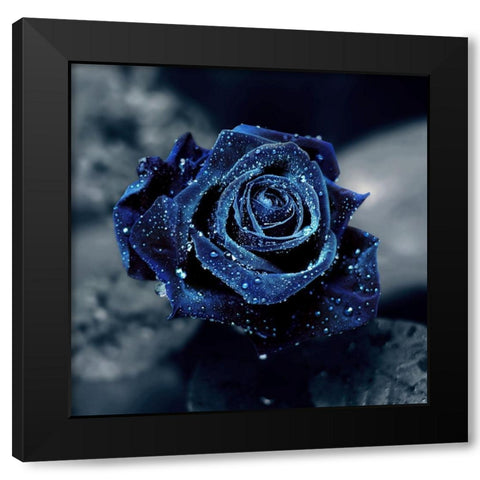 Crystal Black Modern Wood Framed Art Print by Seidel, Lily Andrea