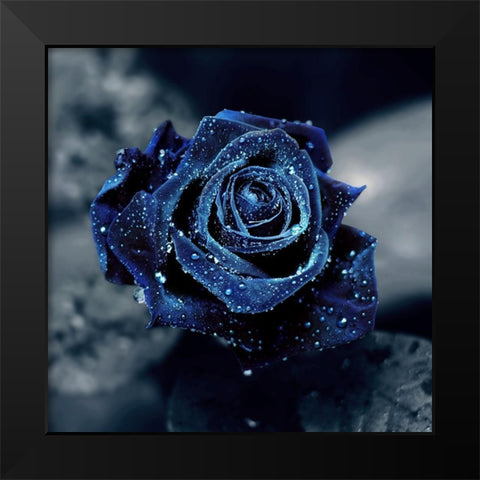 Crystal Black Modern Wood Framed Art Print by Seidel, Lily Andrea