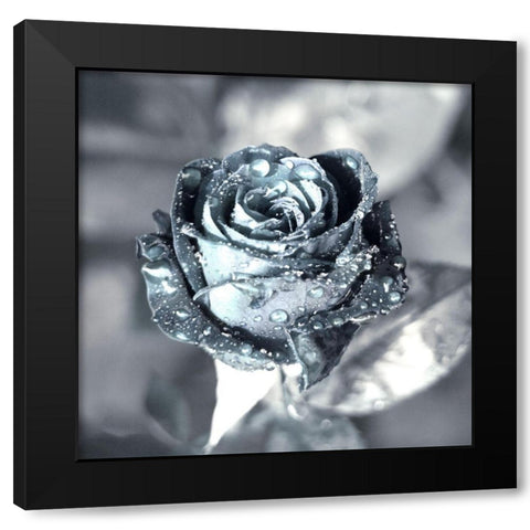 Metallica Black Modern Wood Framed Art Print by Seidel, Lily Andrea