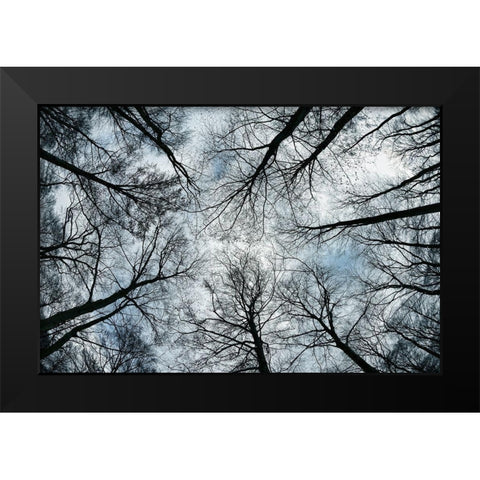Dark Arms Black Modern Wood Framed Art Print by Steger, Uwe