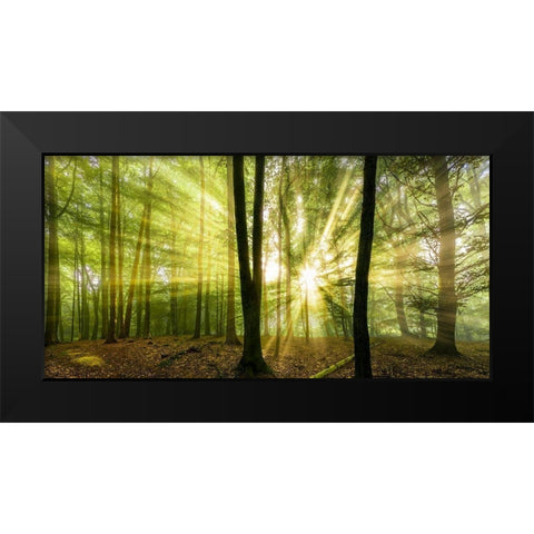 Nebelstimmung  mit Sonne im Wald Black Modern Wood Framed Art Print by Fischer, Rolf