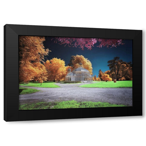Gradignan-Glasshouse I Black Modern Wood Framed Art Print with Double Matting by Gee, Tonee
