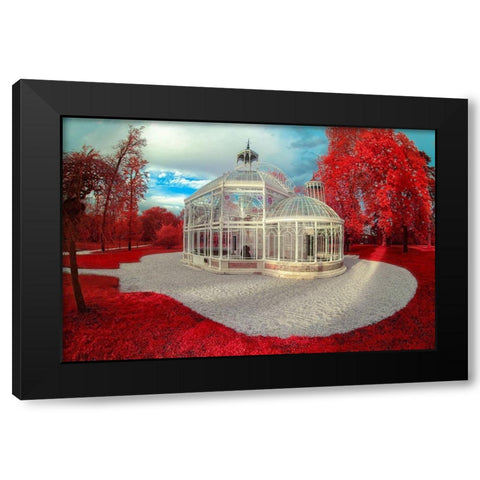 Gradignan-Glasshouse II Black Modern Wood Framed Art Print with Double Matting by Gee, Tonee