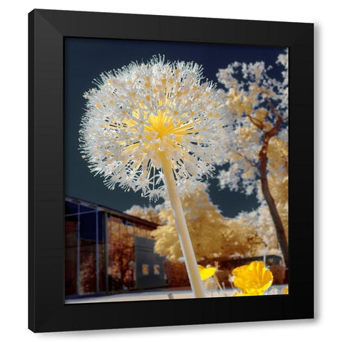Infrared Macro Black Modern Wood Framed Art Print with Double Matting by Gee, Tonee