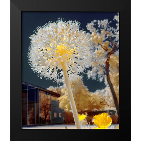Infrared Macro Black Modern Wood Framed Art Print by Gee, Tonee