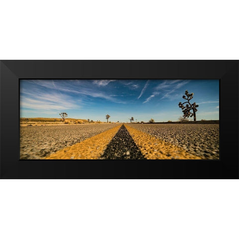 Joshua Black Modern Wood Framed Art Print by Lichtenwalter, Tom