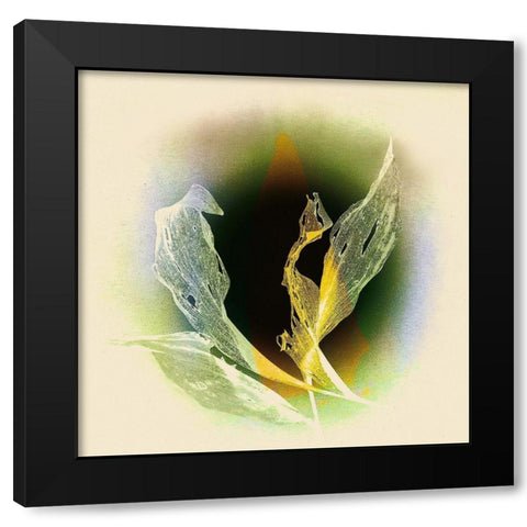 Verdeckt Black Modern Wood Framed Art Print with Double Matting by Baumann, Matthias