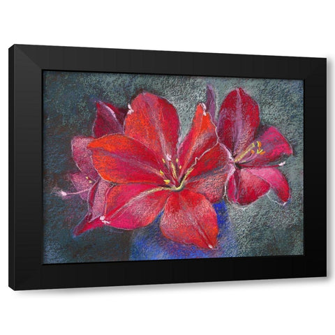 Amaryllis Black Modern Wood Framed Art Print by Botman, Loes