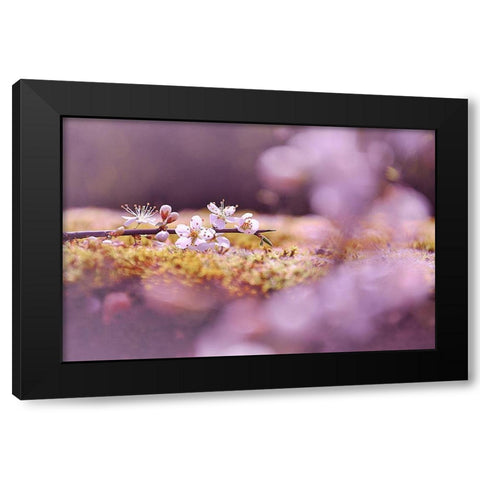 Aurore Black Modern Wood Framed Art Print by Strohmenger, Gaelle