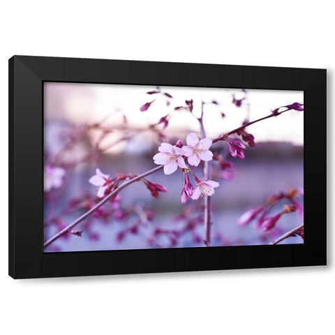 Crepuscule Black Modern Wood Framed Art Print with Double Matting by Strohmenger, Gaelle