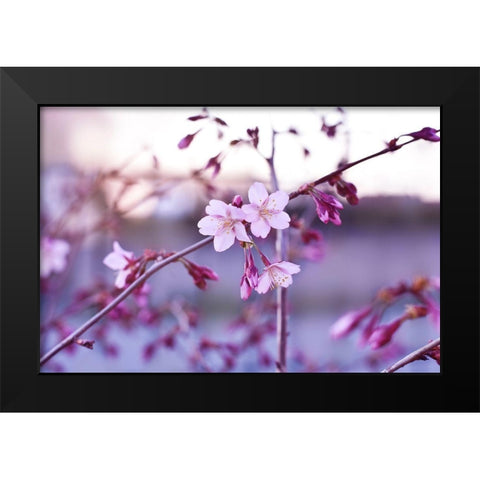 Crepuscule Black Modern Wood Framed Art Print by Strohmenger, Gaelle