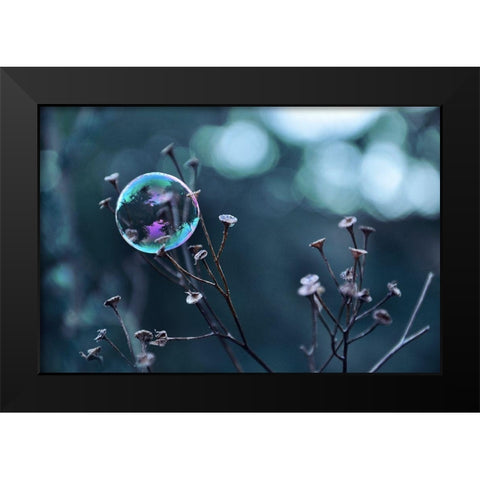 Fragile Perle Black Modern Wood Framed Art Print by Strohmenger, Gaelle