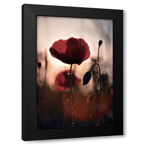 Vanite Black Modern Wood Framed Art Print by Strohmenger, Gaelle
