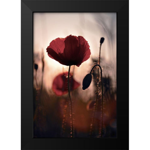 Vanite Black Modern Wood Framed Art Print by Strohmenger, Gaelle
