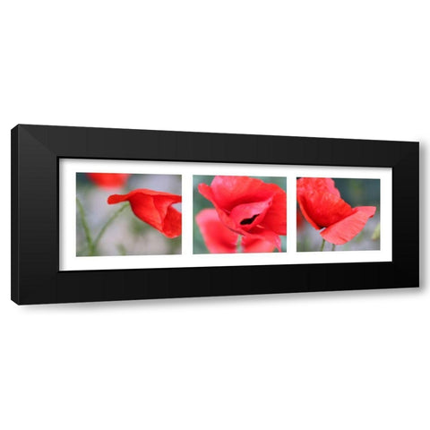 Mohn Black Modern Wood Framed Art Print by MIRA