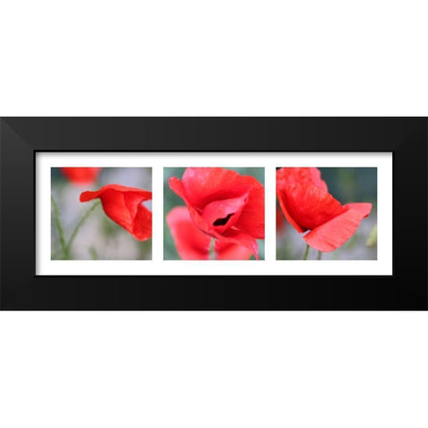 Mohn Black Modern Wood Framed Art Print by MIRA