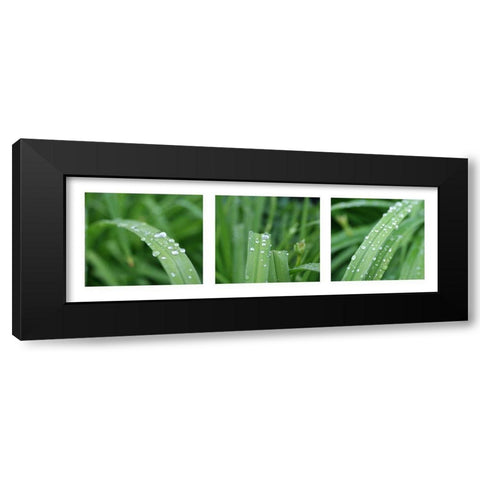 Raindrops Black Modern Wood Framed Art Print by MIRA