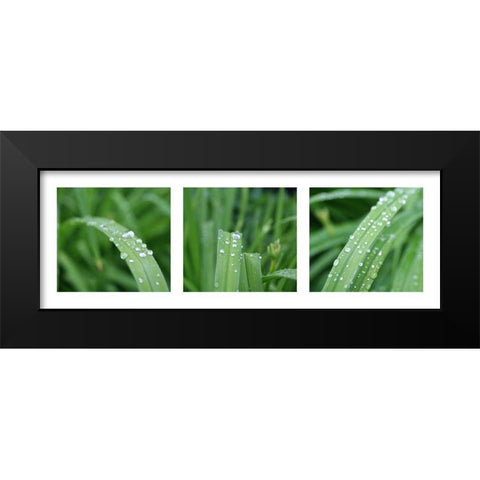 Raindrops Black Modern Wood Framed Art Print by MIRA