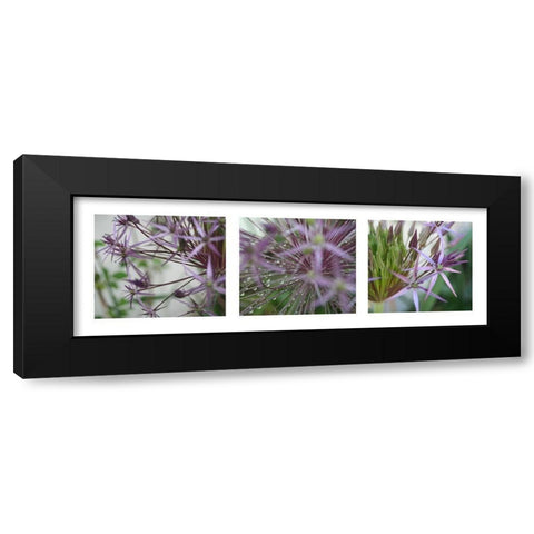 Allium I Black Modern Wood Framed Art Print with Double Matting by MIRA