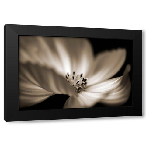 Die Tanzerin Black Modern Wood Framed Art Print by Steger, Uwe