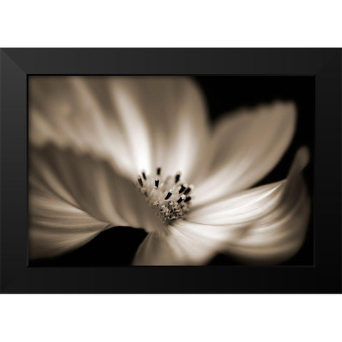 Die Tanzerin Black Modern Wood Framed Art Print by Steger, Uwe