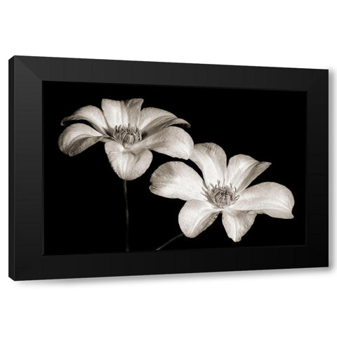Stars II Black Modern Wood Framed Art Print by Steger, Uwe