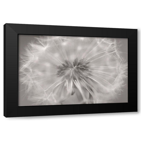 Gentle Touch II Black Modern Wood Framed Art Print by Steger, Uwe