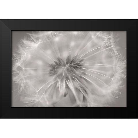 Gentle Touch II Black Modern Wood Framed Art Print by Steger, Uwe