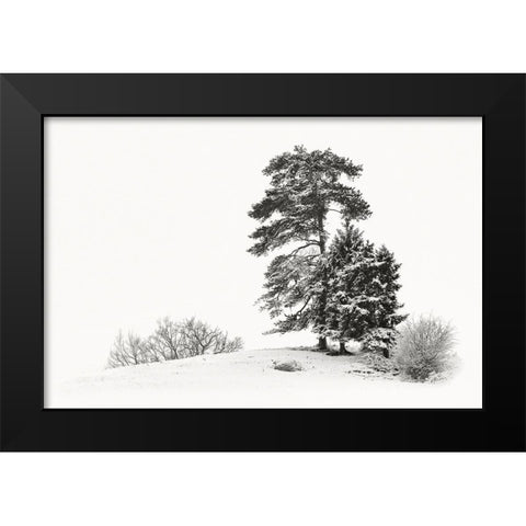 Solitar II Black Modern Wood Framed Art Print by Steger, Uwe