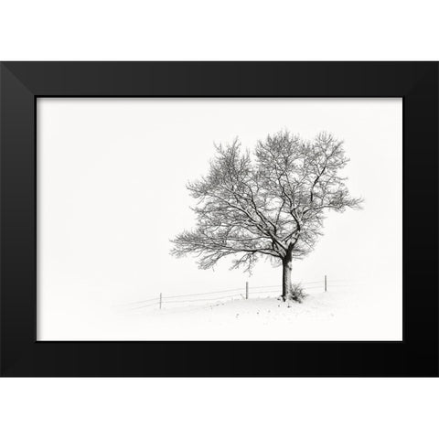 Solitar III Black Modern Wood Framed Art Print by Steger, Uwe