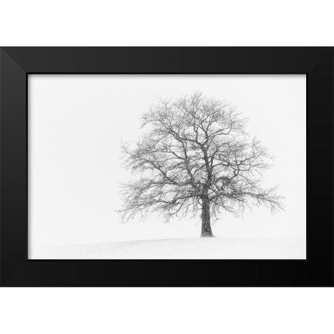 Wintersturm I Black Modern Wood Framed Art Print by Steger, Uwe