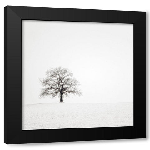 Wintersturm II Black Modern Wood Framed Art Print with Double Matting by Steger, Uwe