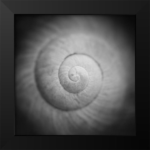 Mystic Black Modern Wood Framed Art Print by Steger, Uwe