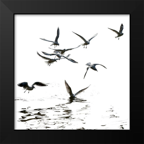 Black and White Black Modern Wood Framed Art Print by Steger, Uwe