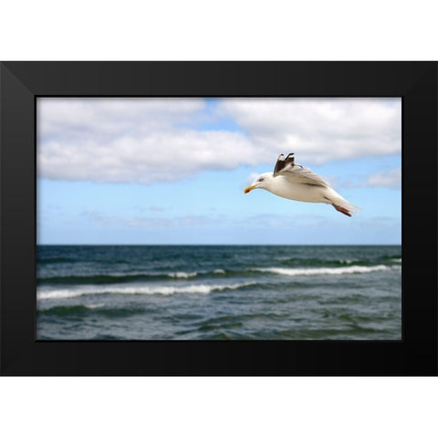 Lonely Bird Black Modern Wood Framed Art Print by Steger, Uwe