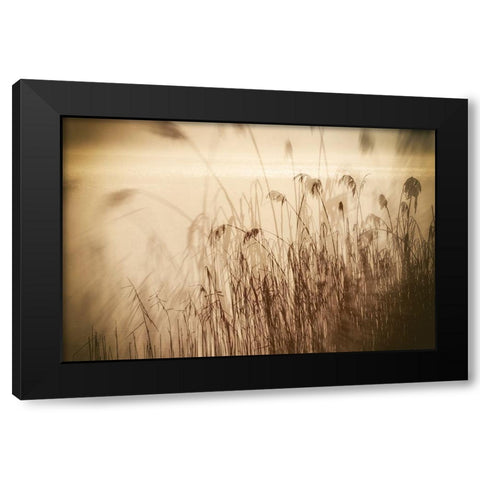 Traumzeit I Black Modern Wood Framed Art Print by Steger, Uwe