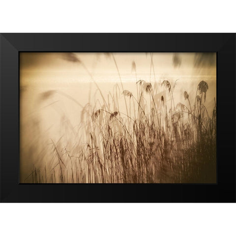 Traumzeit I Black Modern Wood Framed Art Print by Steger, Uwe