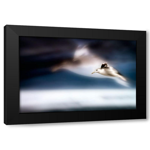 Dreamfly Black Modern Wood Framed Art Print by Steger, Uwe